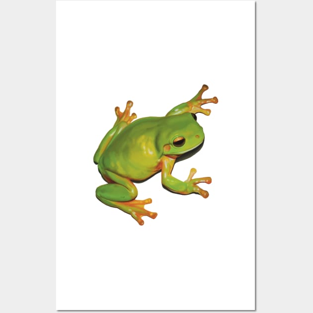 Gorgeous Green Tree Frog. Australian green frog. Cute frog illustration, realistically drawn Wall Art by PlumpPlumStudio